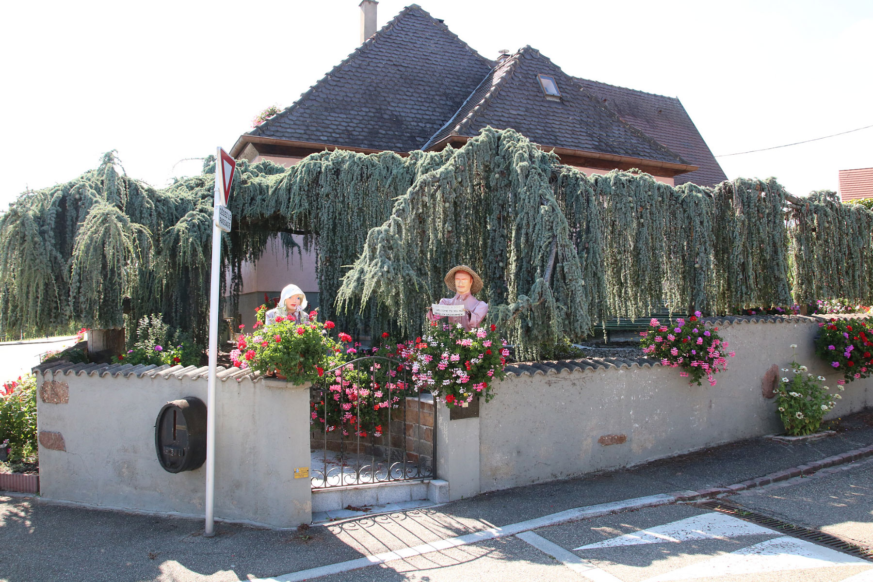 Zellenberg